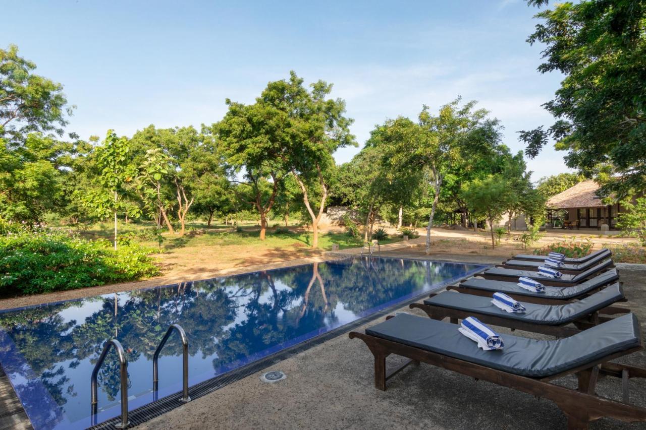 Koragaha Lodge - Yala Тиссамахарама Экстерьер фото