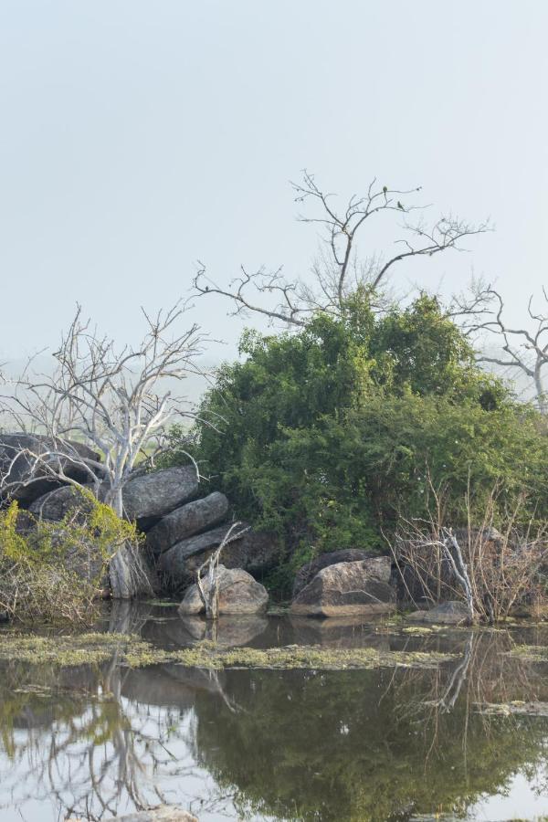 Koragaha Lodge - Yala Тиссамахарама Экстерьер фото