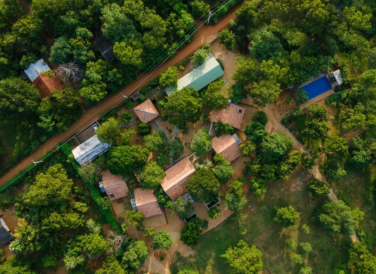 Koragaha Lodge - Yala Тиссамахарама Экстерьер фото